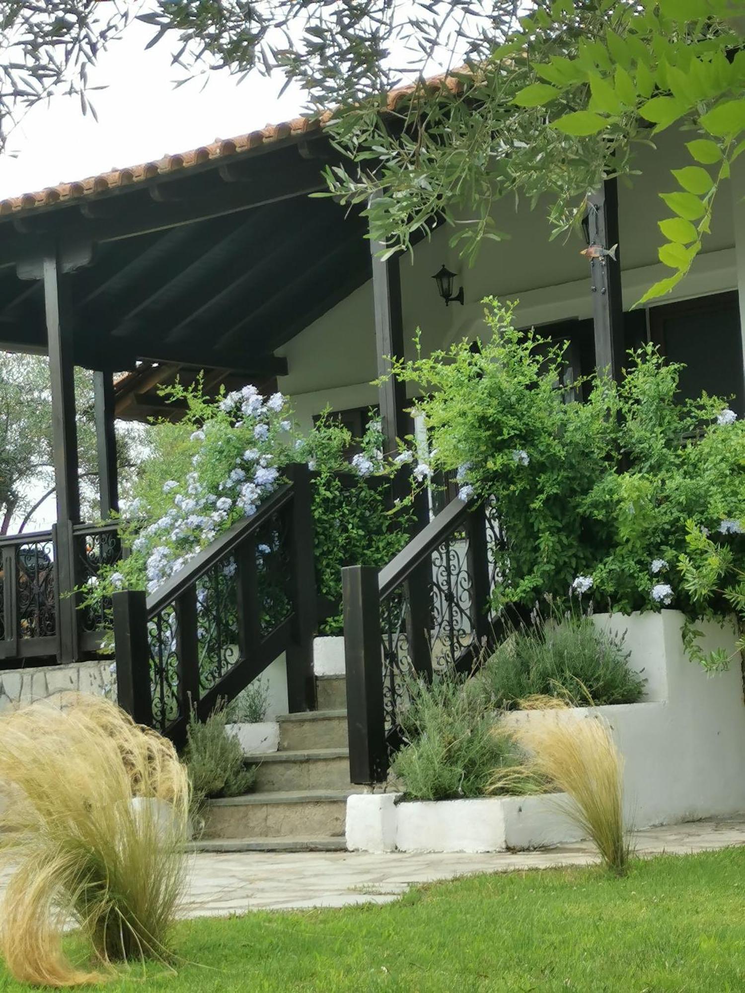 Villa Joy Ormos Panagias Esterno foto